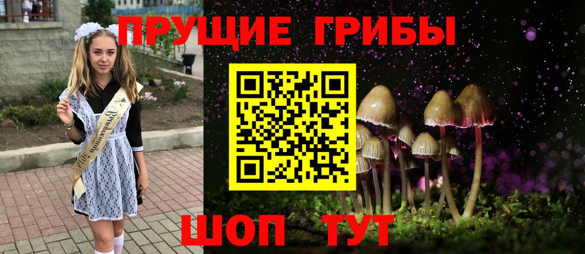 Псилоцибиновые грибы GOLDEN TEACHER Дмитров