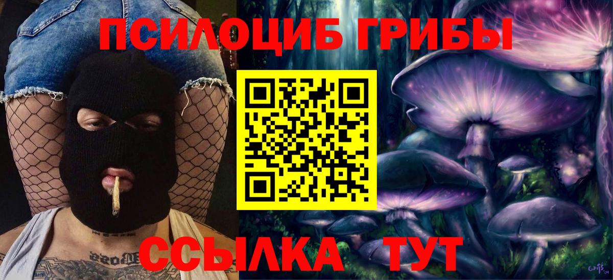 Дмитров  Галлюциногенные грибы прущие грибы  Вход с VPN  Псилоцибиновые грибы Cubensis 